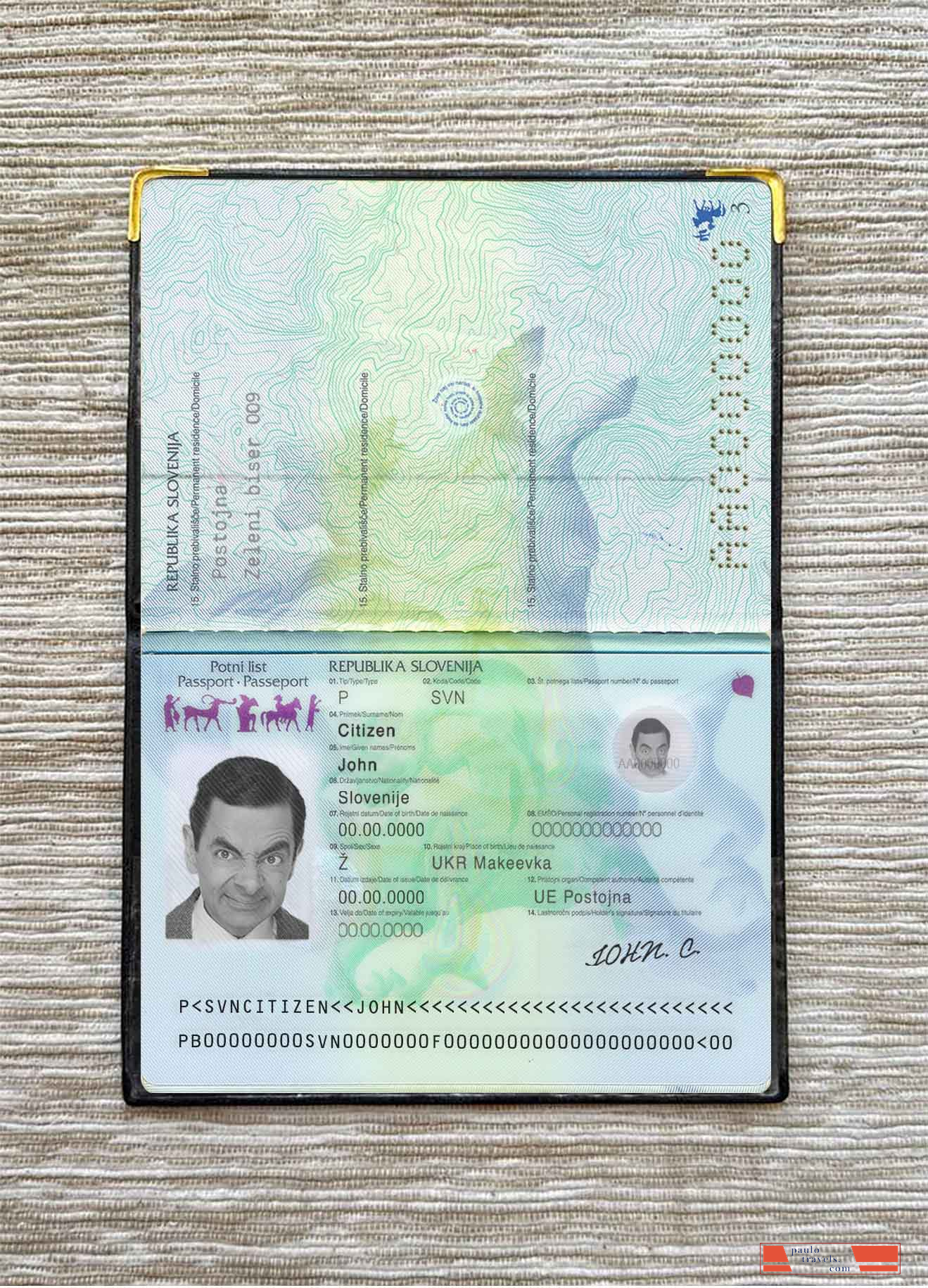 Slovenia passport photo look PSD template